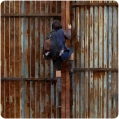 silk Enid climbs over fence