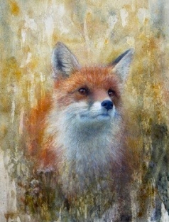 Fox watercolor
