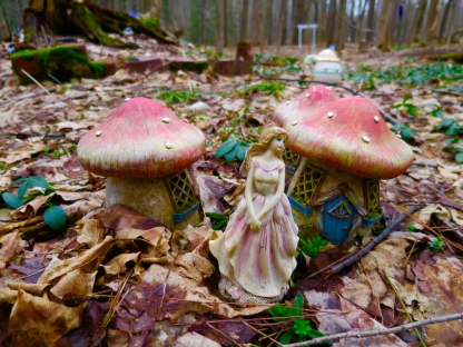 lily-dale-fairy-trail-2-fairy-mushrooms